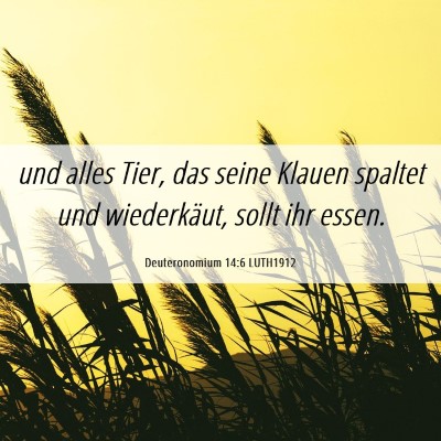 Picture 06 - Deuteronomium 14:6 LUTH1912 - und alles Tier, das seine Klauen spaltet und - Bible Verse Picture