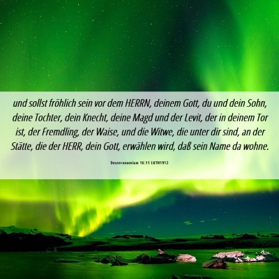 Picture 06 - Deuteronomium 16:11 LUTH1912 - und sollst fröhlich sein vor dem HERRN, deinem - Bible Verse Picture