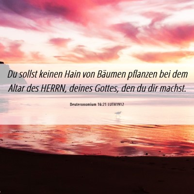Picture 06 - Deuteronomium 16:21 LUTH1912 - Du sollst keinen Hain von Bäumen pflanzen bei - Bible Verse Picture