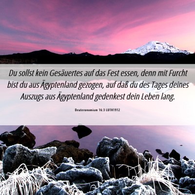 Picture 06 - Deuteronomium 16:3 LUTH1912 - Du sollst kein Gesäuertes auf das Fest essen, - Bible Verse Picture