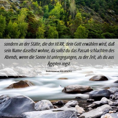 Picture 06 - Deuteronomium 16:6 LUTH1912 - sondern an der Stätte, die der HERR, dein Gott - Bible Verse Picture