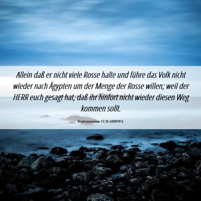 Picture 06 - Deuteronomium 17:16 LUTH1912 - Allein daß er nicht viele Rosse halte und führe - Bible Verse Picture