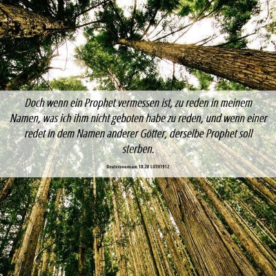 Picture 06 - Deuteronomium 18:20 LUTH1912 - Doch wenn ein Prophet vermessen ist, zu reden in - Bible Verse Picture