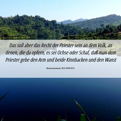 Picture 06 - Deuteronomium 18:3 LUTH1912 - Das soll aber das Recht der Priester sein an dem - Bible Verse Picture