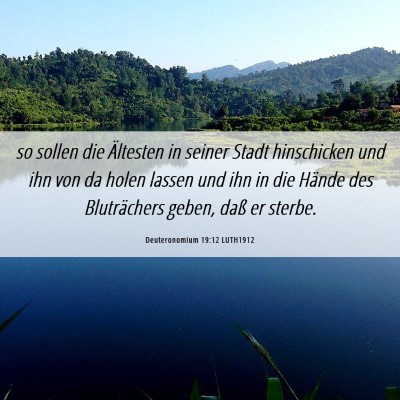 Picture 06 - Deuteronomium 19:12 LUTH1912 - so sollen die Ältesten in seiner Stadt - Bible Verse Picture