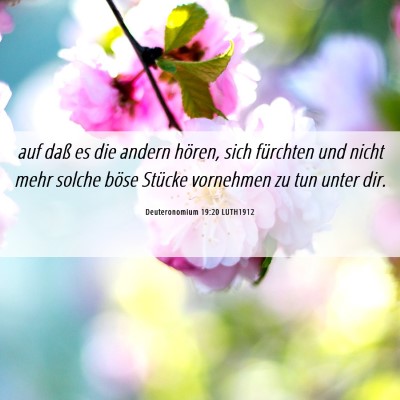 Picture 06 - Deuteronomium 19:20 LUTH1912 - auf daß es die andern hören, sich fürchten und - Bible Verse Picture
