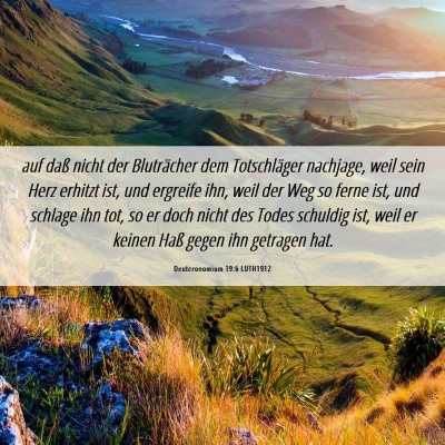 Picture 06 - Deuteronomium 19:6 LUTH1912 - auf daß nicht der Bluträcher dem Totschläger - Bible Verse Picture