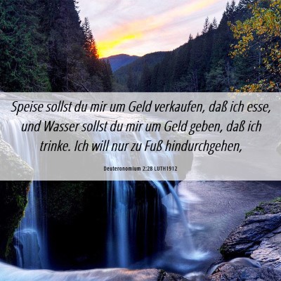 Picture 06 - Deuteronomium 2:28 LUTH1912 - Speise sollst du mir um Geld verkaufen, daß ich - Bible Verse Picture