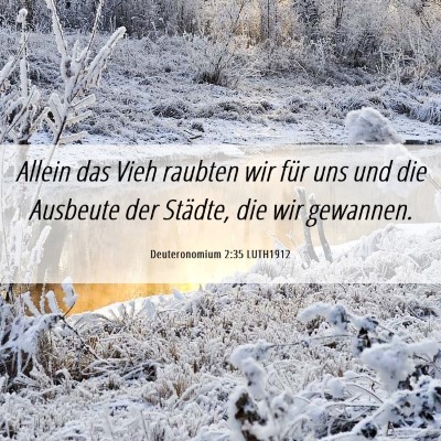 Picture 06 - Deuteronomium 2:35 LUTH1912 - Allein das Vieh raubten wir für uns und die - Bible Verse Picture