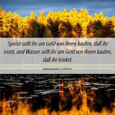Picture 06 - Deuteronomium 2:6 LUTH1912 - Speise sollt ihr um Geld von ihnen kaufen, daß - Bible Verse Picture