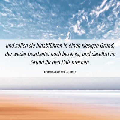 Picture 06 - Deuteronomium 21:4 LUTH1912 - und sollen sie hinabführen in einen kiesigen - Bible Verse Picture