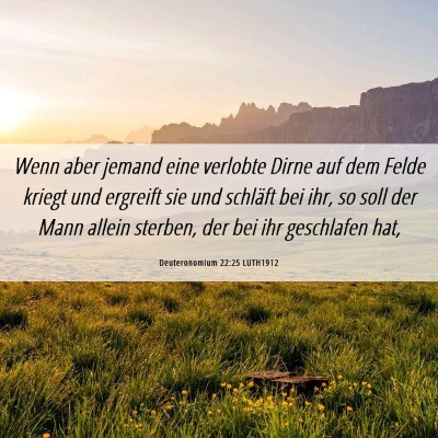Picture 06 - Deuteronomium 22:25 LUTH1912 - Wenn aber jemand eine verlobte Dirne auf dem - Bible Verse Picture