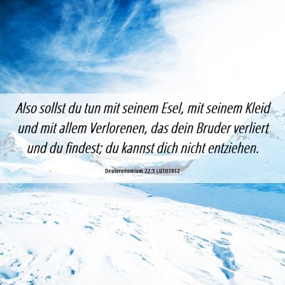 Picture 06 - Deuteronomium 22:3 LUTH1912 - Also sollst du tun mit seinem Esel, mit seinem - Bible Verse Picture