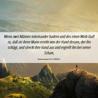 Picture 06 - Deuteronomium 25:11 LUTH1912 - Wenn zwei Männer miteinander hadern und des - Bible Verse Picture