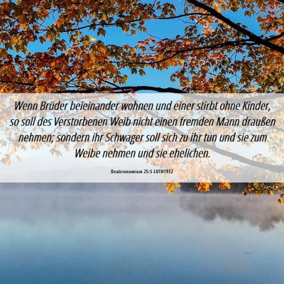 Picture 06 - Deuteronomium 25:5 LUTH1912 - Wenn Brüder beieinander wohnen und einer stirbt - Bible Verse Picture