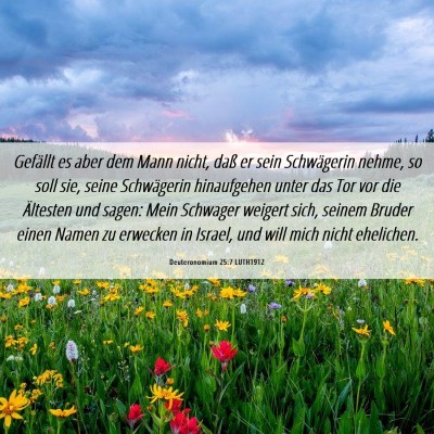 Picture 06 - Deuteronomium 25:7 LUTH1912 - Gefällt es aber dem Mann nicht, daß er sein - Bible Verse Picture