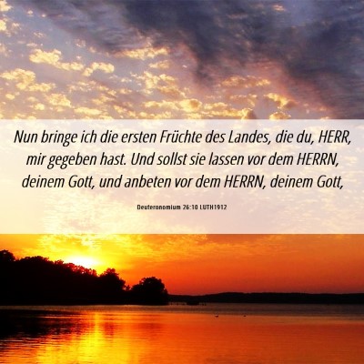 Picture 06 - Deuteronomium 26:10 LUTH1912 - Nun bringe ich die ersten Früchte des Landes, - Bible Verse Picture
