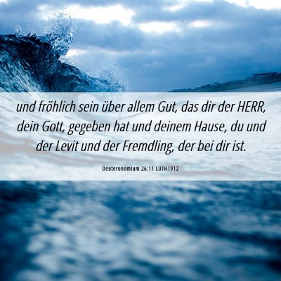 Picture 06 - Deuteronomium 26:11 LUTH1912 - und fröhlich sein über allem Gut, das dir der - Bible Verse Picture