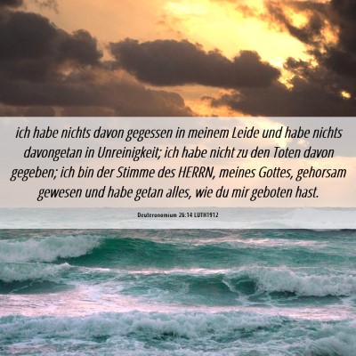 Picture 06 - Deuteronomium 26:14 LUTH1912 - ich habe nichts davon gegessen in meinem Leide - Bible Verse Picture
