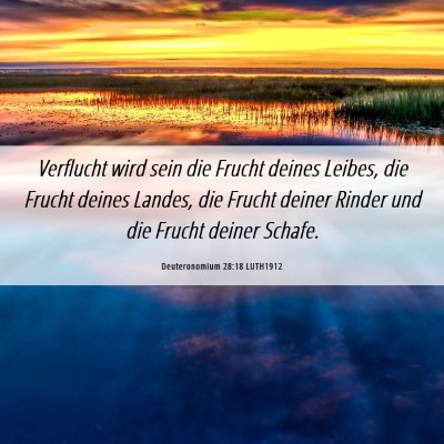 Picture 06 - Deuteronomium 28:18 LUTH1912 - Verflucht wird sein die Frucht deines Leibes, die - Bible Verse Picture