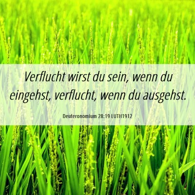 Picture 06 - Deuteronomium 28:19 LUTH1912 - Verflucht wirst du sein, wenn du eingehst, - Bible Verse Picture