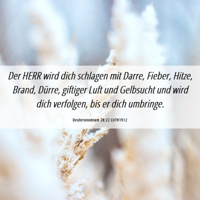 Picture 06 - Deuteronomium 28:22 LUTH1912 - Der HERR wird dich schlagen mit Darre, Fieber, - Bible Verse Picture