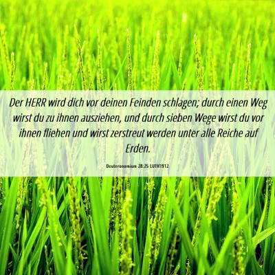 Picture 06 - Deuteronomium 28:25 LUTH1912 - Der HERR wird dich vor deinen Feinden schlagen; - Bible Verse Picture