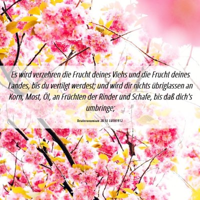 Picture 06 - Deuteronomium 28:51 LUTH1912 - Es wird verzehren die Frucht deines Viehs und die - Bible Verse Picture