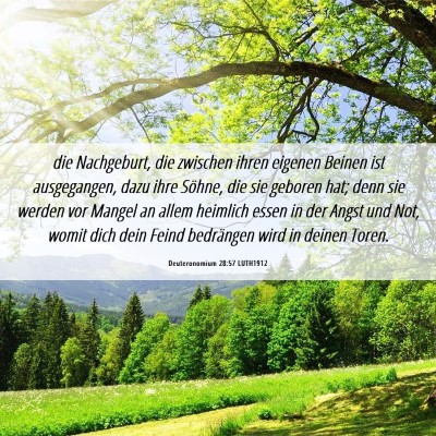 Picture 06 - Deuteronomium 28:57 LUTH1912 - die Nachgeburt, die zwischen ihren eigenen Beinen - Bible Verse Picture