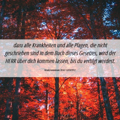 Picture 06 - Deuteronomium 28:61 LUTH1912 - dazu alle Krankheiten und alle Plagen, die nicht - Bible Verse Picture
