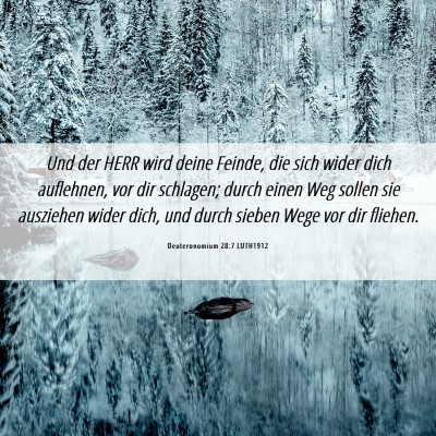 Picture 06 - Deuteronomium 28:7 LUTH1912 - Und der HERR wird deine Feinde, die sich wider - Bible Verse Picture