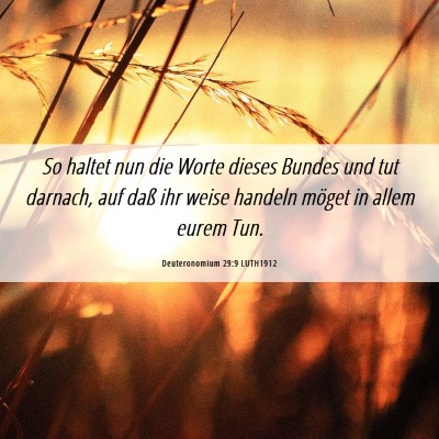 Picture 06 - Deuteronomium 29:9 LUTH1912 - So haltet nun die Worte dieses Bundes und tut - Bible Verse Picture