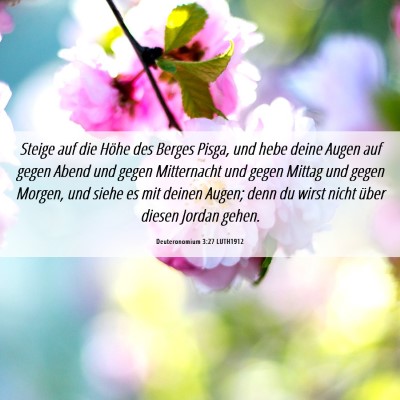 Picture 06 - Deuteronomium 3:27 LUTH1912 - Steige auf die Höhe des Berges Pisga, und hebe - Bible Verse Picture