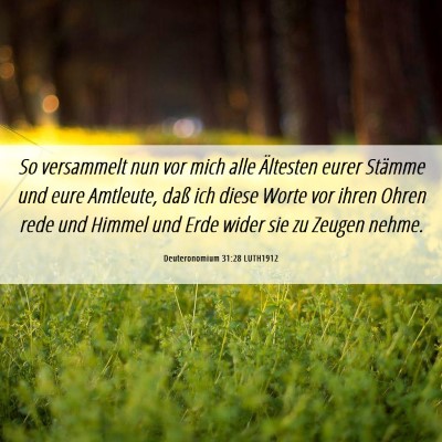 Picture 06 - Deuteronomium 31:28 LUTH1912 - So versammelt nun vor mich alle Ältesten eurer - Bible Verse Picture