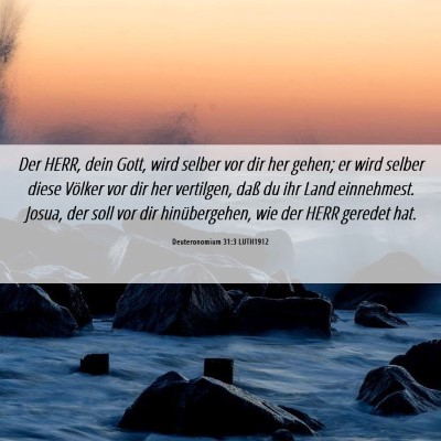 Picture 06 - Deuteronomium 31:3 LUTH1912 - Der HERR, dein Gott, wird selber vor dir her - Bible Verse Picture