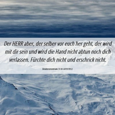 Picture 06 - Deuteronomium 31:8 LUTH1912 - Der HERR aber, der selber vor euch her geht, der - Bible Verse Picture
