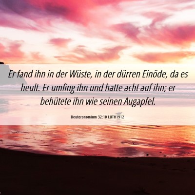 Picture 06 - Deuteronomium 32:10 LUTH1912 - Er fand ihn in der Wüste, in der dürren - Bible Verse Picture