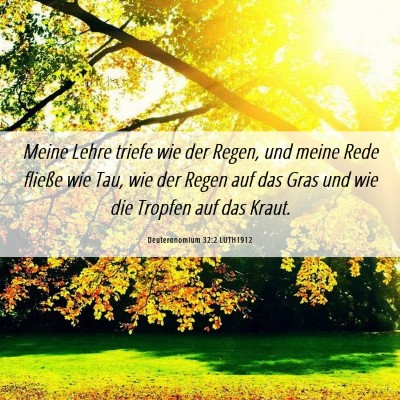 Picture 06 - Deuteronomium 32:2 LUTH1912 - Meine Lehre triefe wie der Regen, und meine Rede - Bible Verse Picture