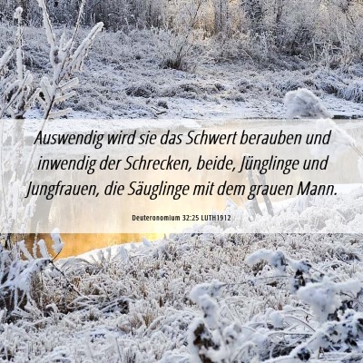 Picture 06 - Deuteronomium 32:25 LUTH1912 - Auswendig wird sie das Schwert berauben und - Bible Verse Picture