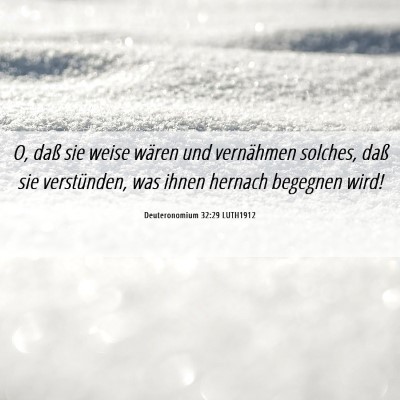 Picture 06 - Deuteronomium 32:29 LUTH1912 - O, daß sie weise wären und vernähmen solches, - Bible Verse Picture