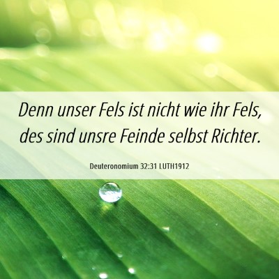 Picture 06 - Deuteronomium 32:31 LUTH1912 - Denn unser Fels ist nicht wie ihr Fels, des sind - Bible Verse Picture