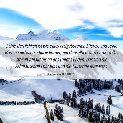 Picture 06 - Deuteronomium 33:17 LUTH1912 - Seine Herrlichkeit ist wie eines erstgeborenen - Bible Verse Picture