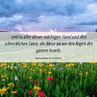 Picture 06 - Deuteronomium 34:12 LUTH1912 - und zu aller dieser mächtigen Hand und den - Bible Verse Picture
