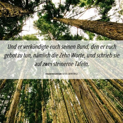 Picture 06 - Deuteronomium 4:13 LUTH1912 - Und er verkündigte euch seinen Bund, den er euch - Bible Verse Picture
