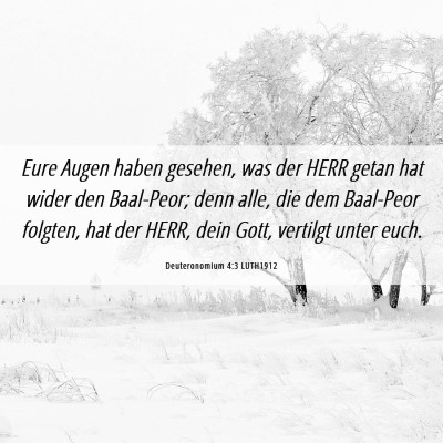Picture 06 - Deuteronomium 4:3 LUTH1912 - Eure Augen haben gesehen, was der HERR getan hat - Bible Verse Picture
