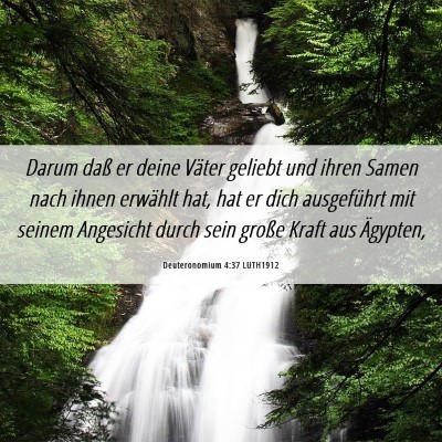Picture 06 - Deuteronomium 4:37 LUTH1912 - Darum daß er deine Väter geliebt und ihren - Bible Verse Picture