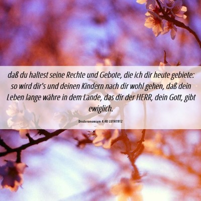 Picture 06 - Deuteronomium 4:40 LUTH1912 - daß du haltest seine Rechte und Gebote, die ich - Bible Verse Picture