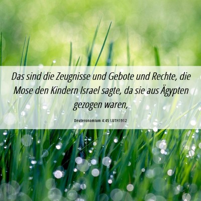 Picture 06 - Deuteronomium 4:45 LUTH1912 - Das sind die Zeugnisse und Gebote und Rechte, die - Bible Verse Picture
