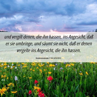 Picture 06 - Deuteronomium 7:10 LUTH1912 - und vergilt denen, die ihn hassen, ins Angesicht, - Bible Verse Picture