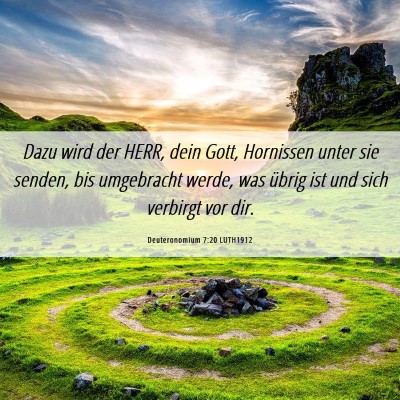 Picture 06 - Deuteronomium 7:20 LUTH1912 - Dazu wird der HERR, dein Gott, Hornissen unter - Bible Verse Picture